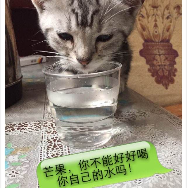 实验室cma证书有效期是几年